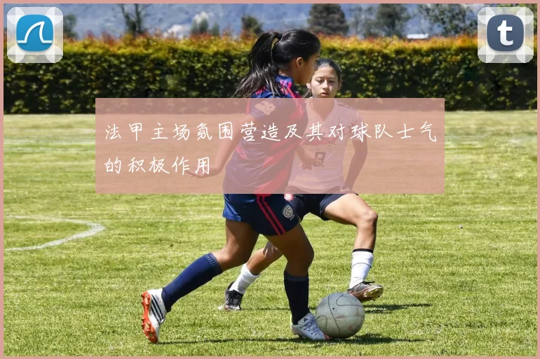 法甲主场氛围营造及其对球队士气的积极作用