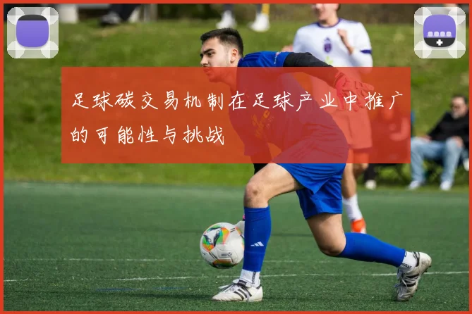 足球碳交易机制在足球产业中推广的可能性与挑战