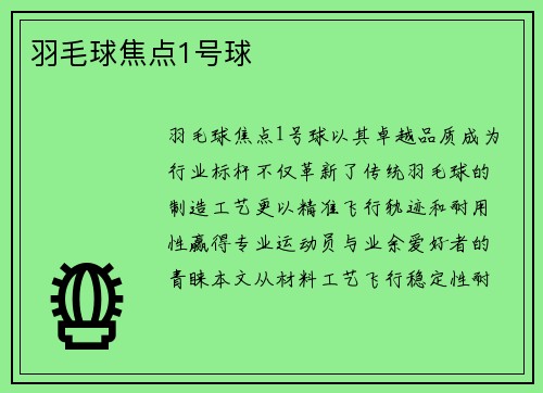 羽毛球焦点1号球