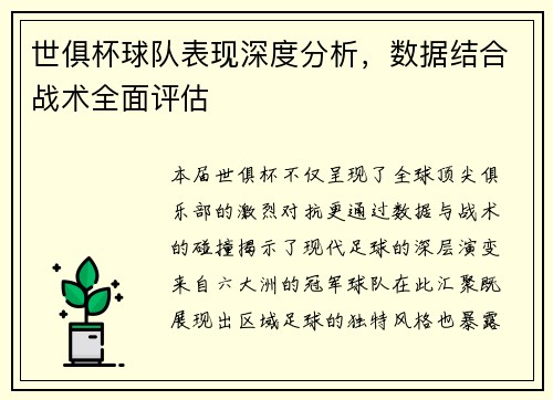 世俱杯球队表现深度分析，数据结合战术全面评估